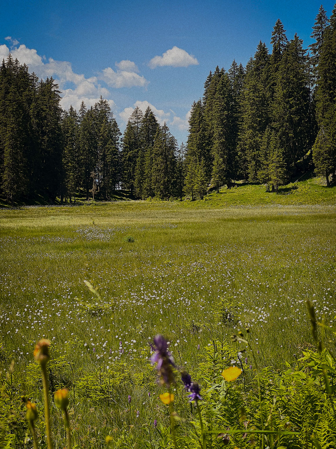 Hochried im Silbertal