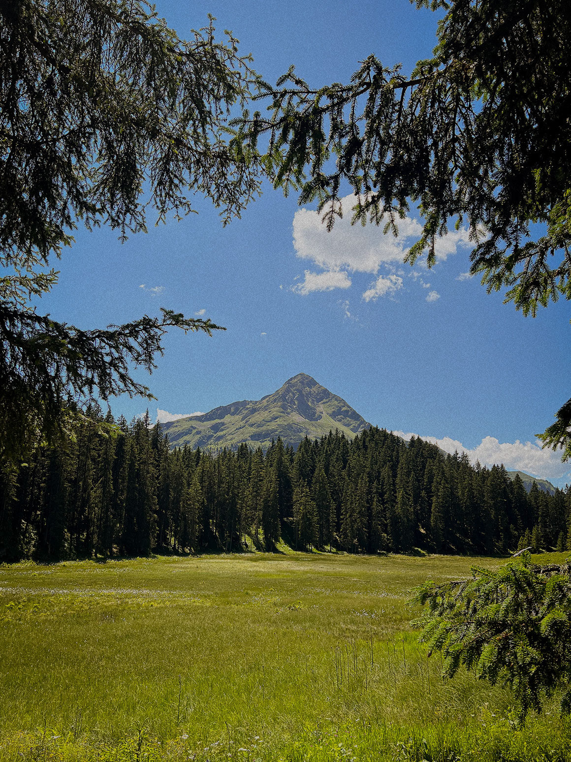 Silbertal - Hochried