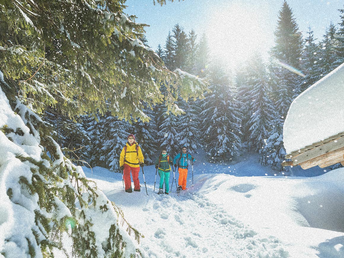Schneeschuhwandern am Kristberg im Silbertal